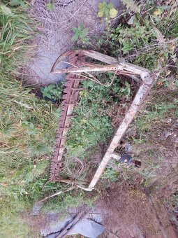 Horská kosačka - 4