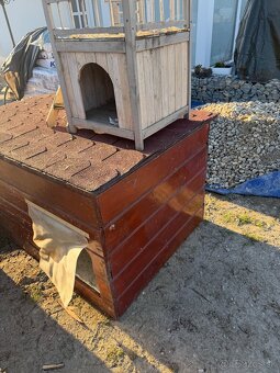 Buda pre psa, macku - 4