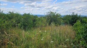 ZĽAVNENÉ • Na predaj záhradka nad golfom v Skalici - Líštiny - 4