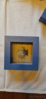 Male dekoracie na stenu - 4