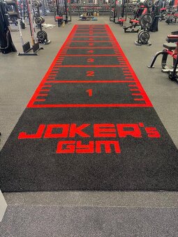 SPRINT TRACK 12m x 2m - PROFI - 4