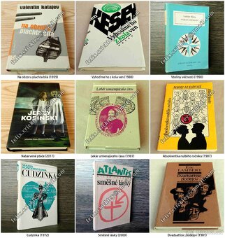 knihy z mojej knižnice 13 - 4