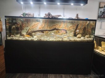Predám akvárium plus stojan železný - 4