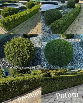 kosenie trávy,strihanie stromčekov- detail Grasscare - 4