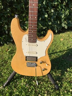 Godin session CANADA-USA - 4