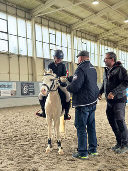 mladá perspektivní pony holčička - 4
