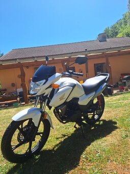 Honda CBF125 - 4