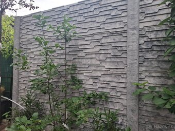 Betónové panely a stĺpik na plot – úplne nové 40€/3ks - 4