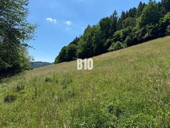 Slnečný stavebný pozemok Dolný Vadičov 7321m2 - 4