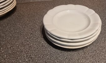 Hrubostenné taniere - 4