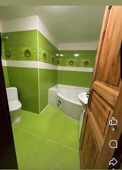 Prenajmem 2 izbovy byt - 4