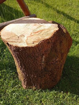 Klat z horského jasena - 4