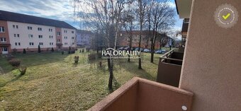 HALO reality - REZERVOVANÉ (prihláste sa na čakaciu listinu) - 4