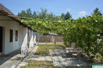 Chalúpka v typickom štýle Záhoria, pod starou lipou - 4