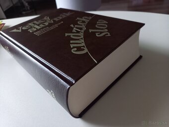 Veľký slovník cudzích slov - 4