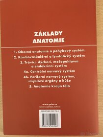 Základy Anatómie - 4