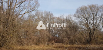 Predám stavebný pozemok Podhorany Sokolníky 5867m2. - 4