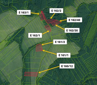 Pušovce – 16.000 m2 ORNÁ PÔDA a LES pri Prešove - 4