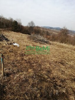 Predaj, pozemok, 3667 m2, Petrovice (090-14-MACHa) - 4