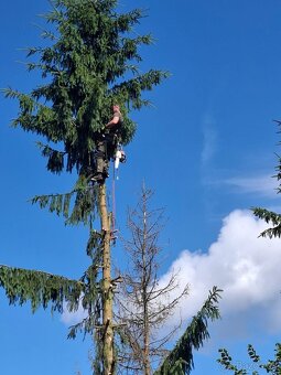 Rizikove pilenie, vyrub, arboristika, pilčicke prace - 4