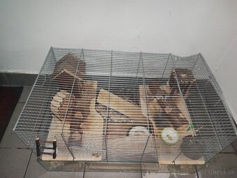 Klietka pre hlodavce - 4