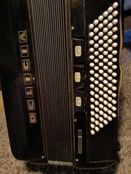 Delicia Carmen V. 96 bass - 4