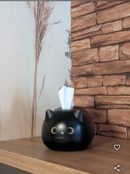 masáž a chiroprax - 4