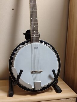 Banjo Richwood 6-strunové - - 4
