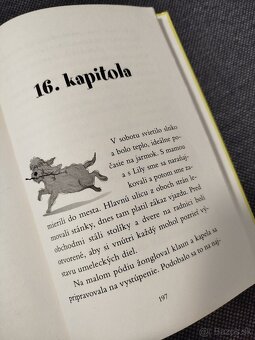 Psie záchranárky - 4