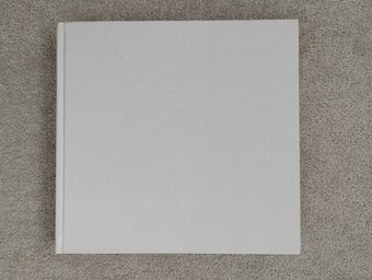 Človek vo vinici - 4