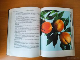 Atlas odrôd ovocia (1978) - 4