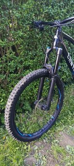Canyon Strive Carbon 27,5" - 4
