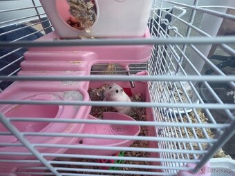 Výbava pre škrečka zelená - 4