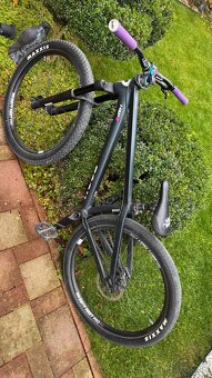 DIRT ROSE the BRUCE 26 Zoll - 4