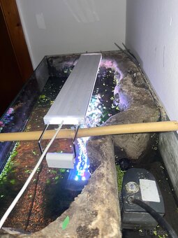 Akvarium s prislusenstvom - 4