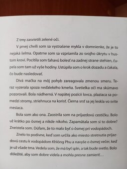 Bublina - Katarína Šajbanová, vydanie z roku 2009 - 4