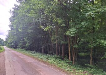 Predám pozemok v Antonstáli - 4