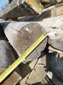 Staré drevené trámy - 4