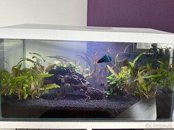 Zabehnuté akvárium Aquael 54L s príslušenstvom - 4