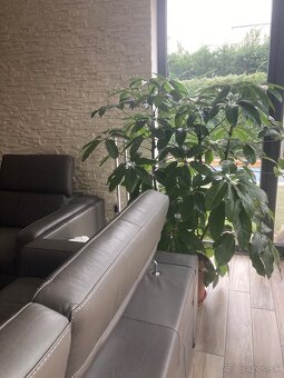 Kozena dvojsedacka - 4