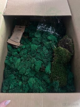 Predám stabilizačný mach - 4