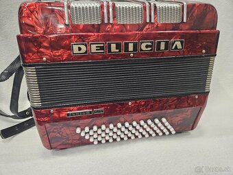 Akordeon delicia junior 60 basovy - 4