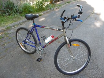 Bicykel Author Dallas - 4