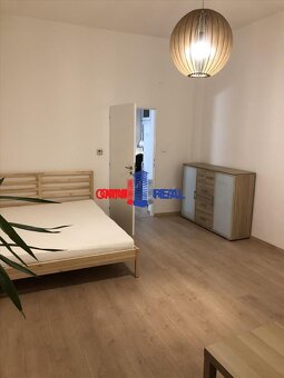 Pekný 1 izbový byt Kollárovo námestie, zrekonštruovaný, zari - 4