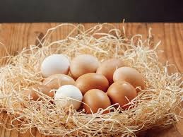 🧀🥚 Predaj domácich vajec , syrov a údených syrov 🥚🧀 - 4