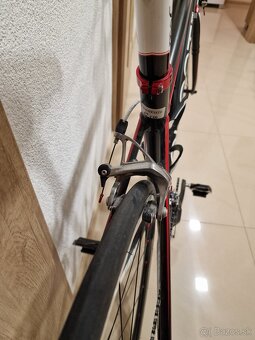 Ghost EBS Race Actinum - 4