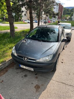 Peugeot 206 - 4
