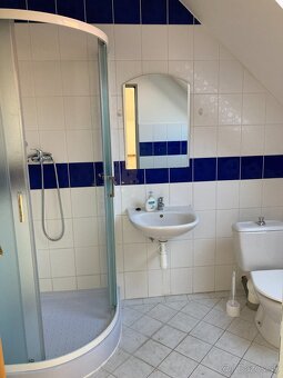 Ponúkam do prenájmu nádherný obchodný priestor v centre . - 4