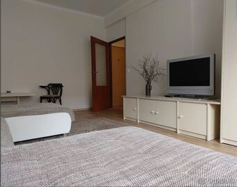 Prenajom 1 izbovy byt - 4