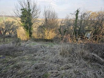 Predám pozemok v záhradkárskej oblasti Šípkové -AKTUÁLNE - 4